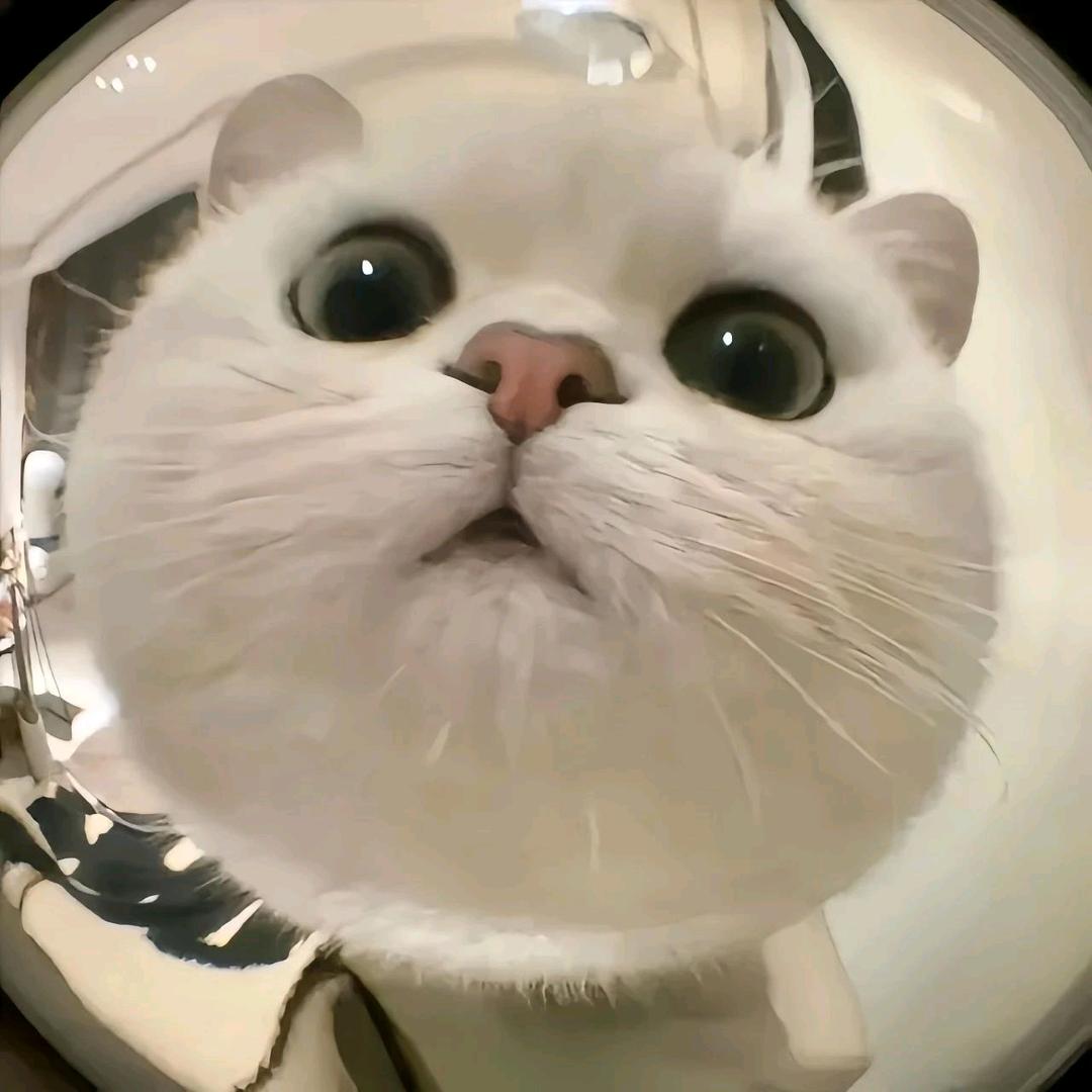 宇宙无敌螺旋飞天大富婆