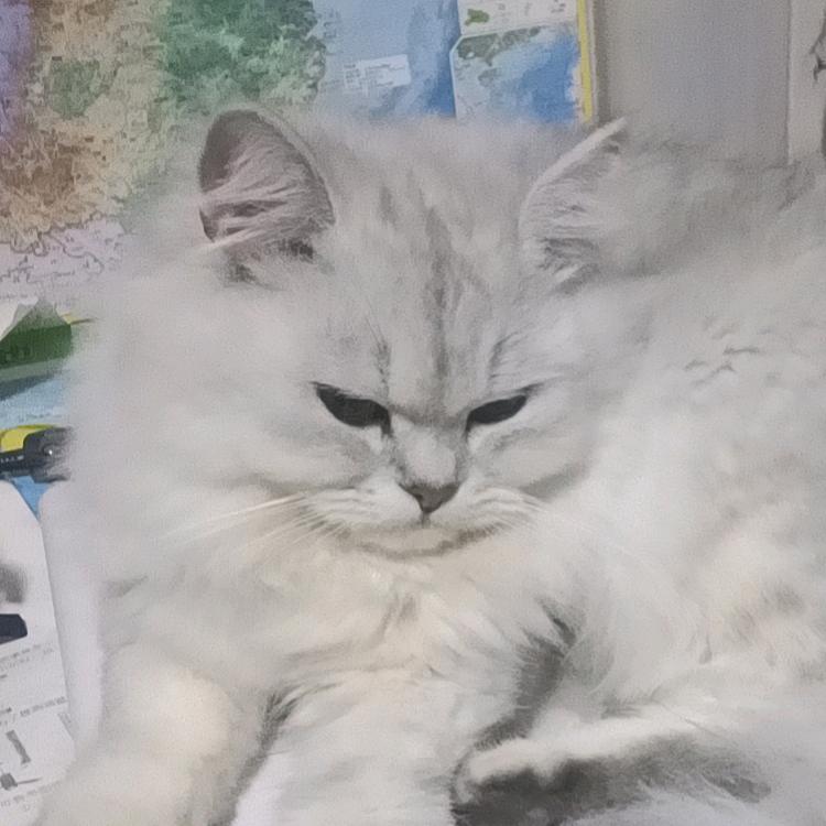 别拿豆包不当干粮