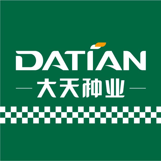 大天陈三妹