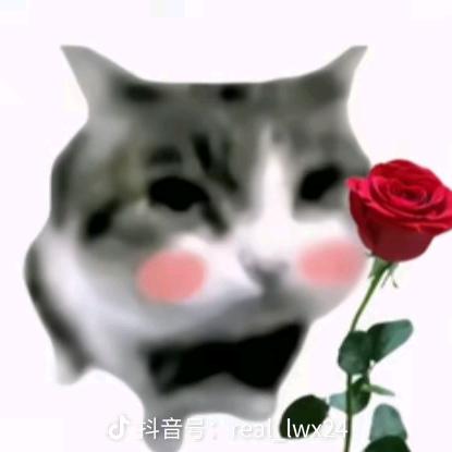 熊猫精头像