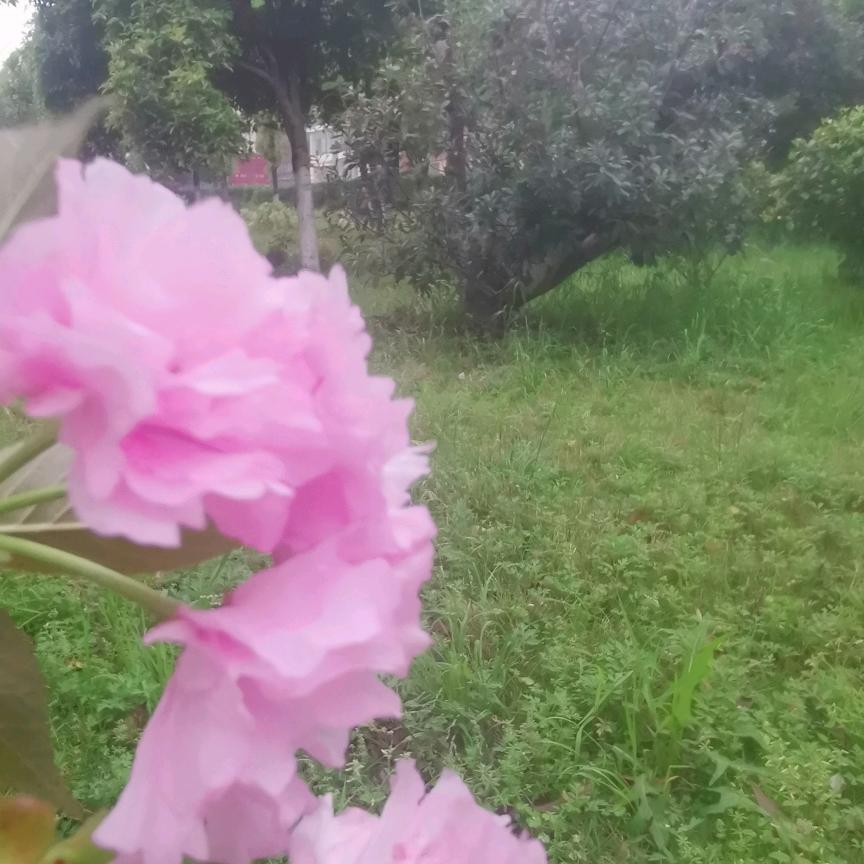 繁星～～头像