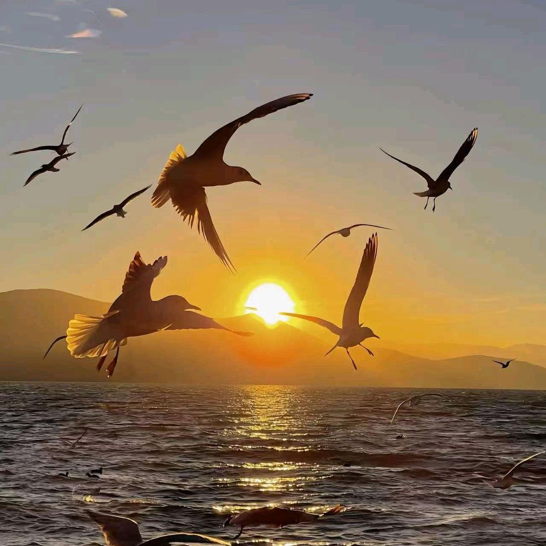 零号大坝 AI 许枫