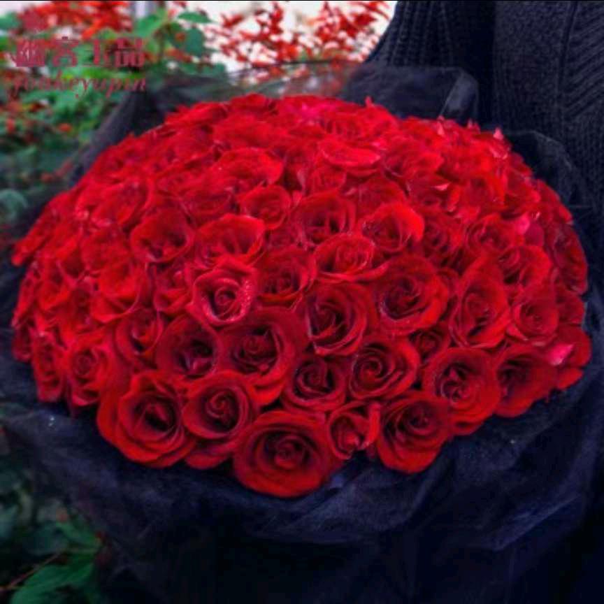我是想你 爱你的人🌹
