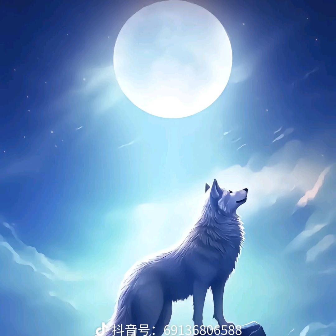 @东