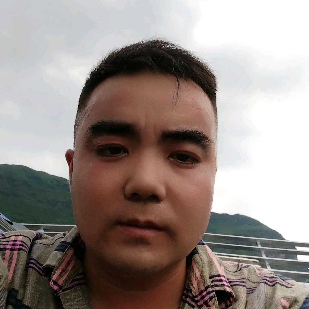 孤独风中一匹狼