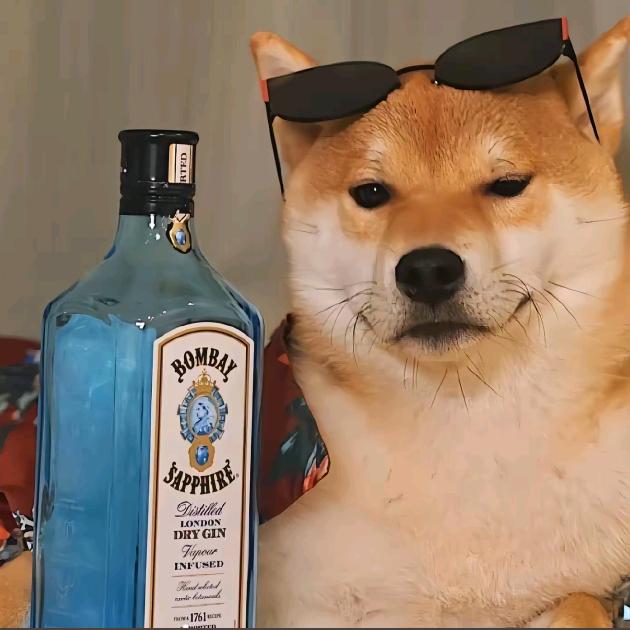 🐟家军丶小星（🐟门永存）