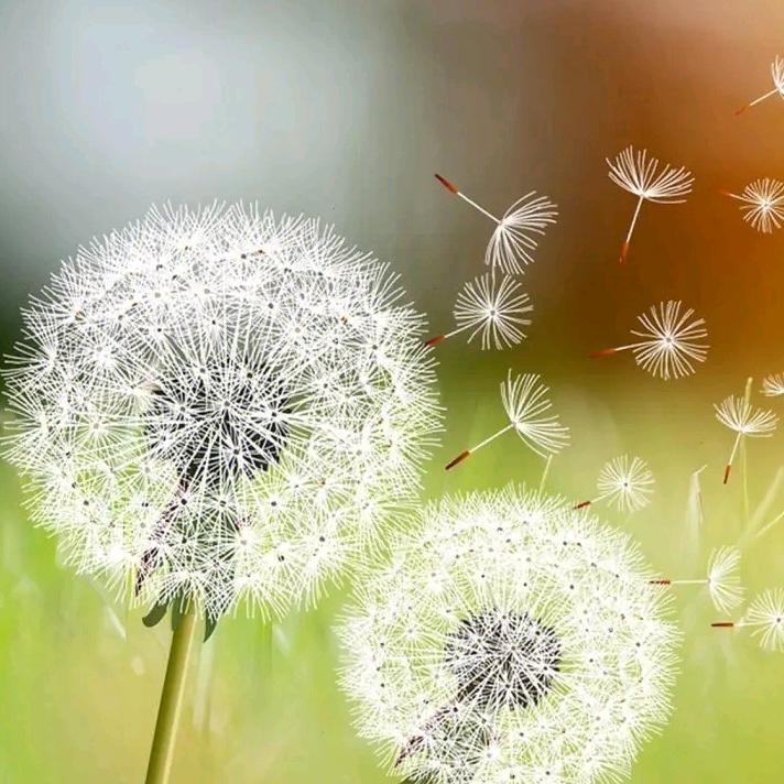 黑天鹅家电连锁大庆路店格力空调王东彦