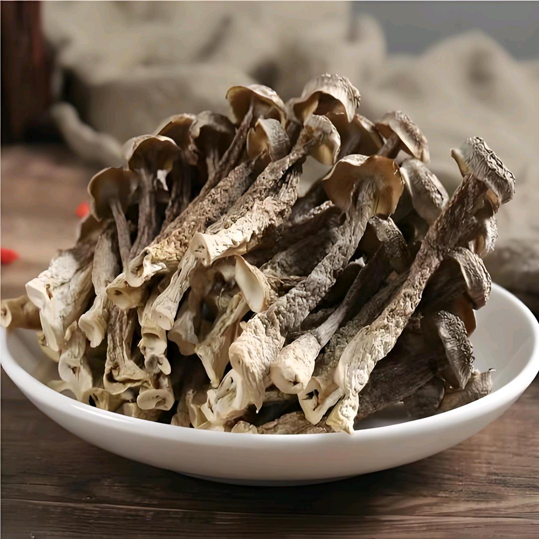 古田高山鹿茸菇