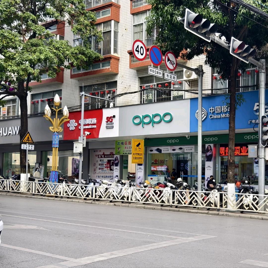 南宁市武鸣广电通讯器材有限公司