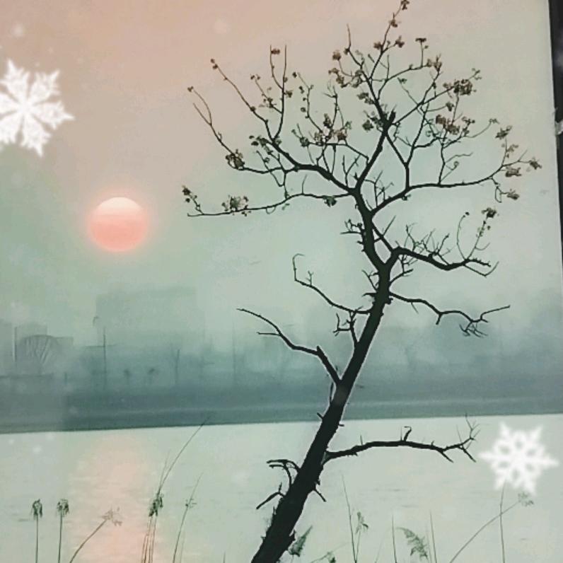 ℳঞ阎 ꦿ䌳  ໌້ᮨ꧔ꦿ᭄