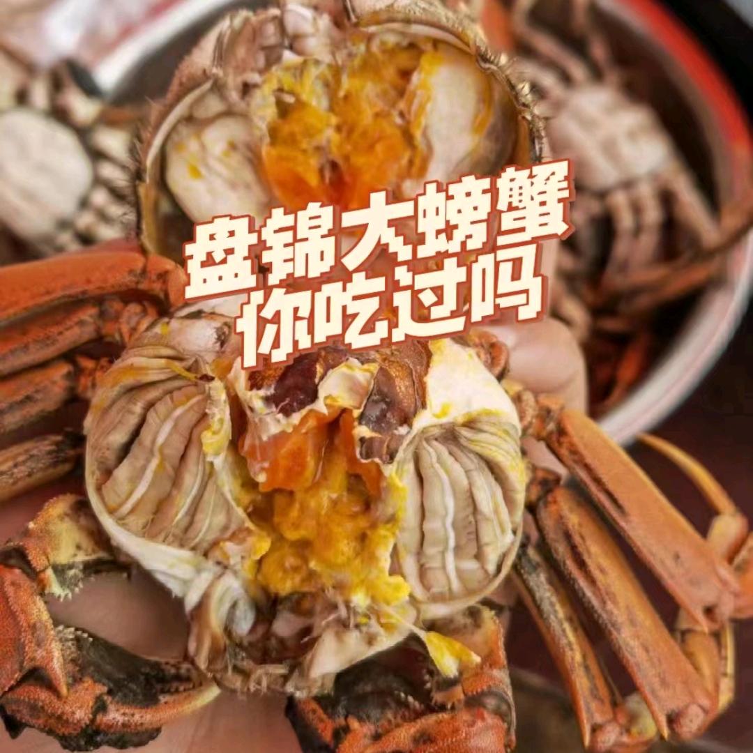 盘锦小涛稻田河蟹
