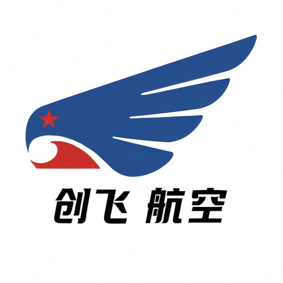创飞航空 青少年无人机