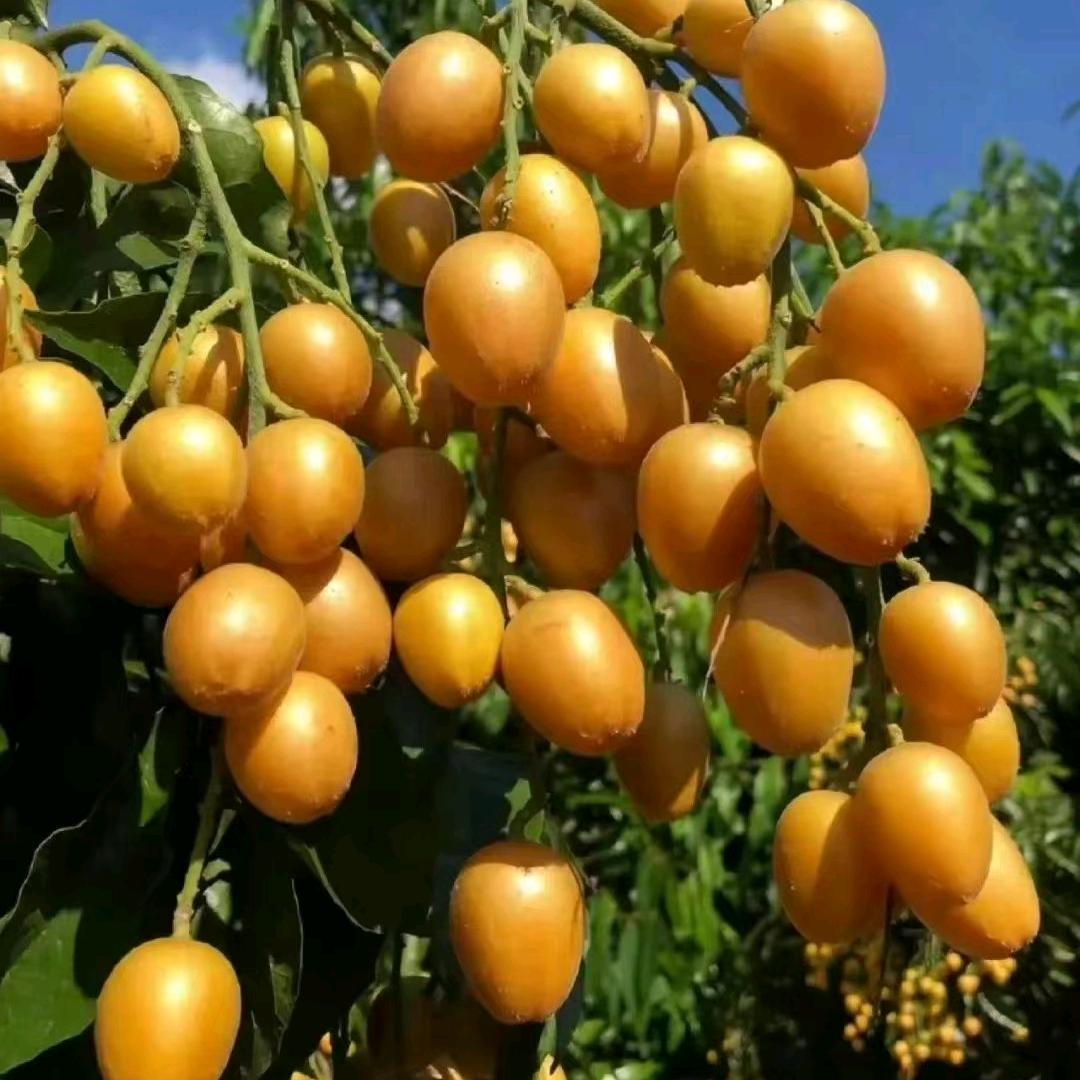 余生随芯