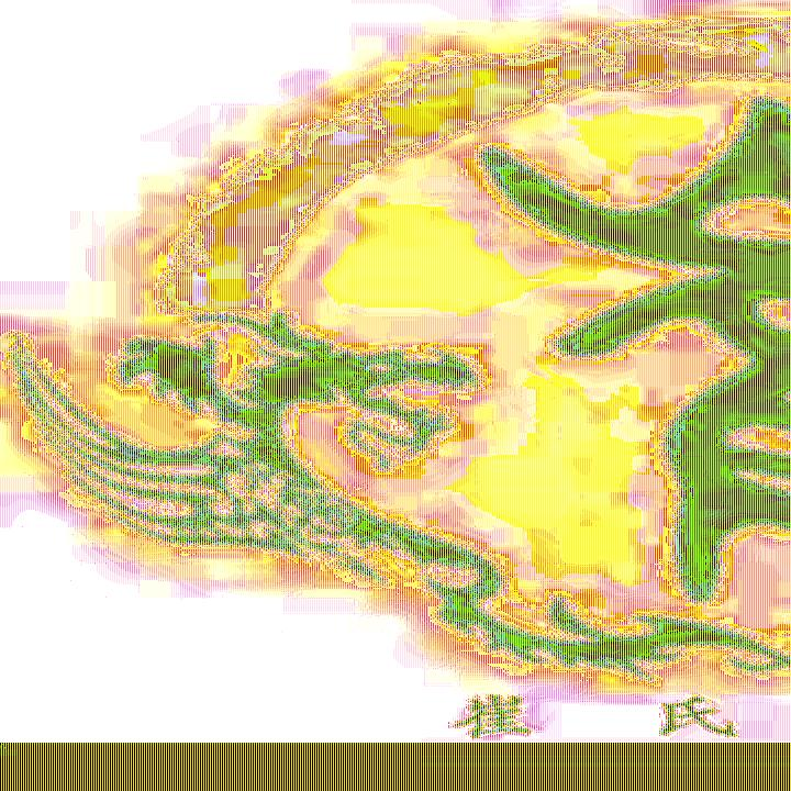 抖音铁粉