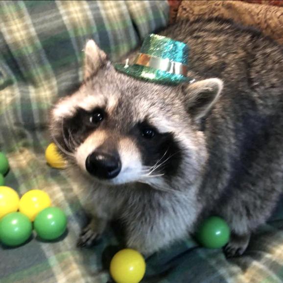 点男模点了个女的