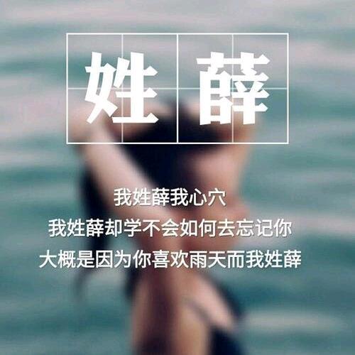 宝之家传薛