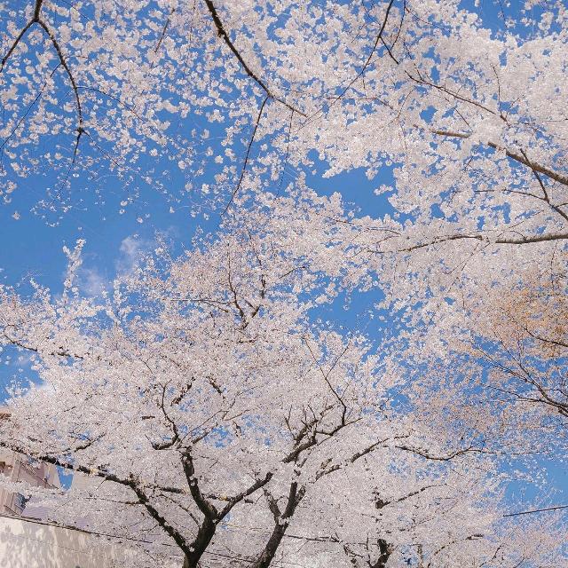 自渡自愈