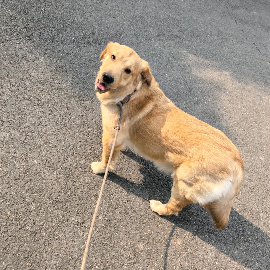 资中-装修-找我-不亏