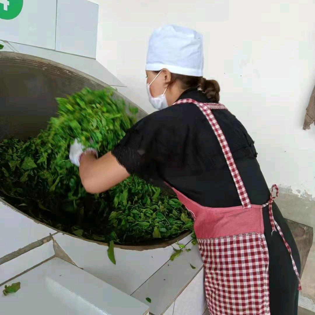 茶爽