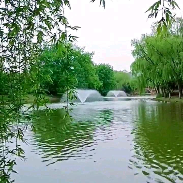 秋韵🍁