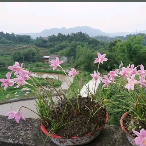 碎碎平安