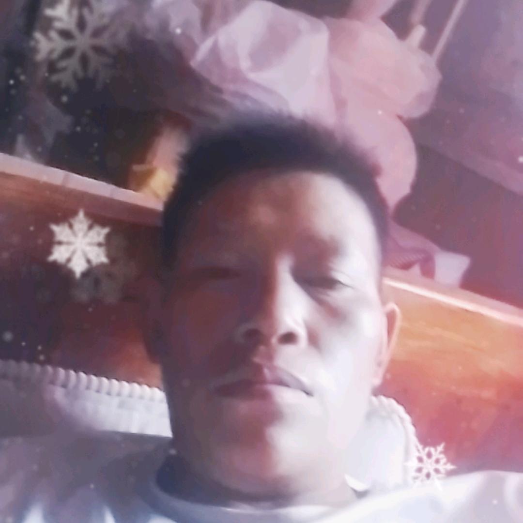 绘飞的鱼WW