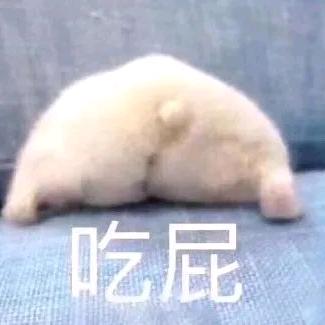鲫鱼煎成饼