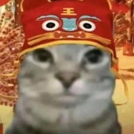 啊吧啊吧真的帅