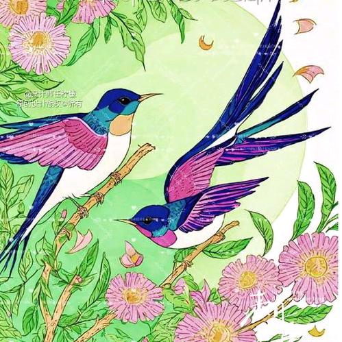 ꩵ🐦窝窝💞ོཹ࿐