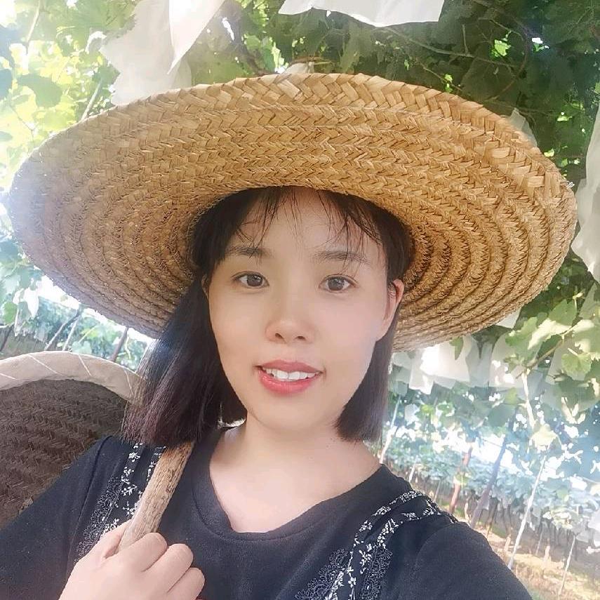 禾正中药肥王宁