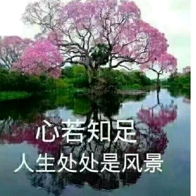 风轻云淡