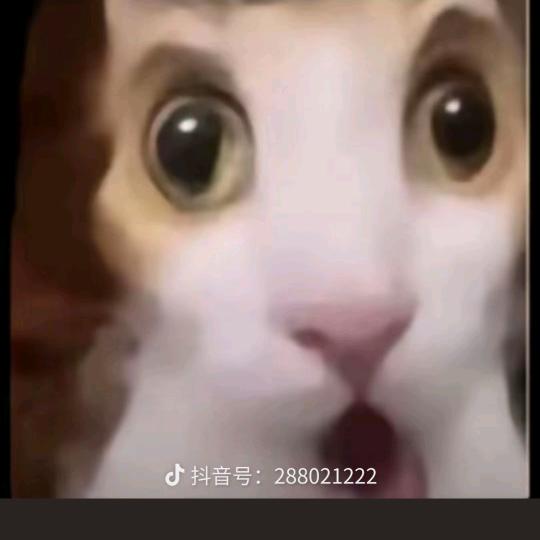 辰辰妈