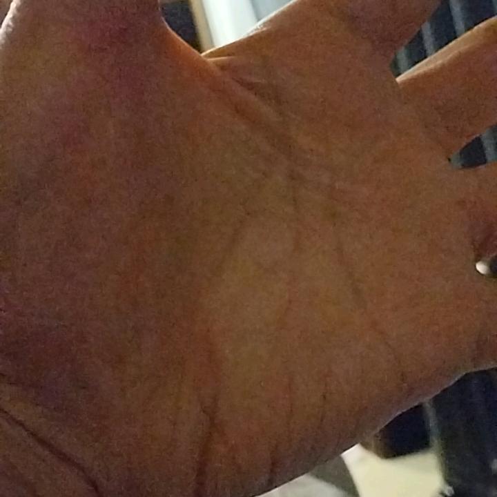 仙人掌