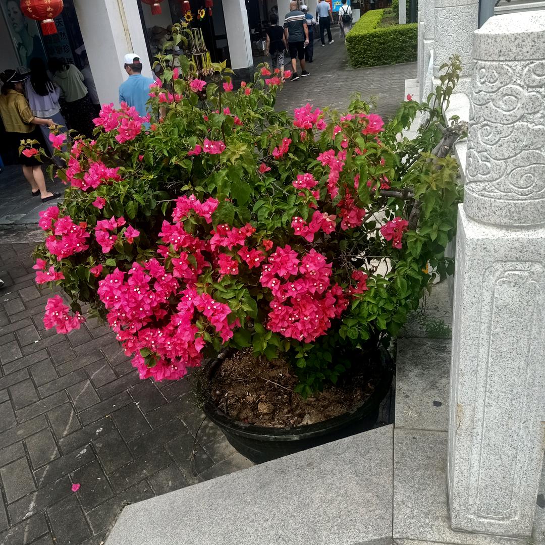 冬暧夏凉