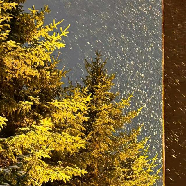 人机摩羯随记💫