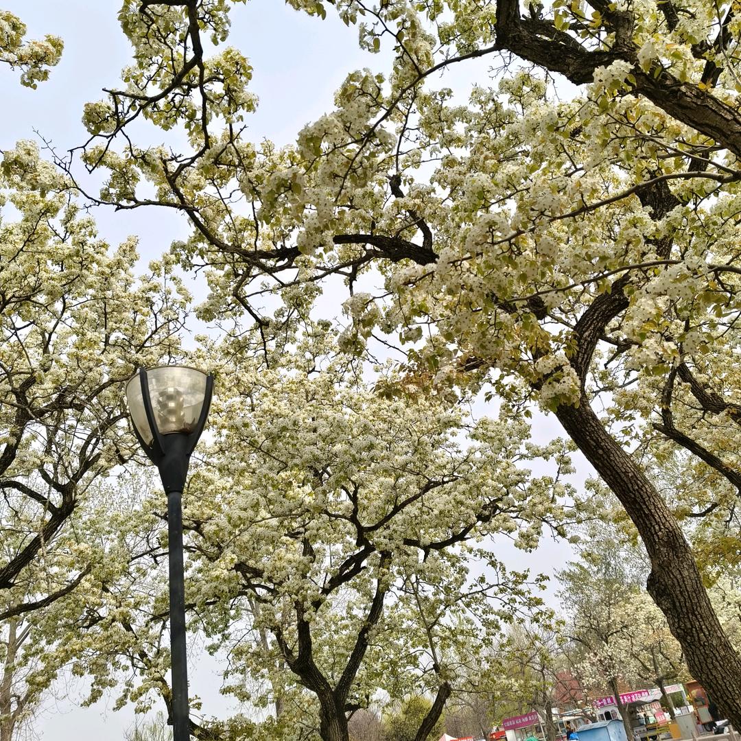 @何必在意🥰🥰🥰💚