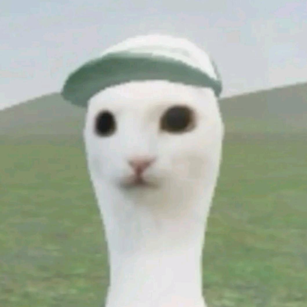 猫猫球