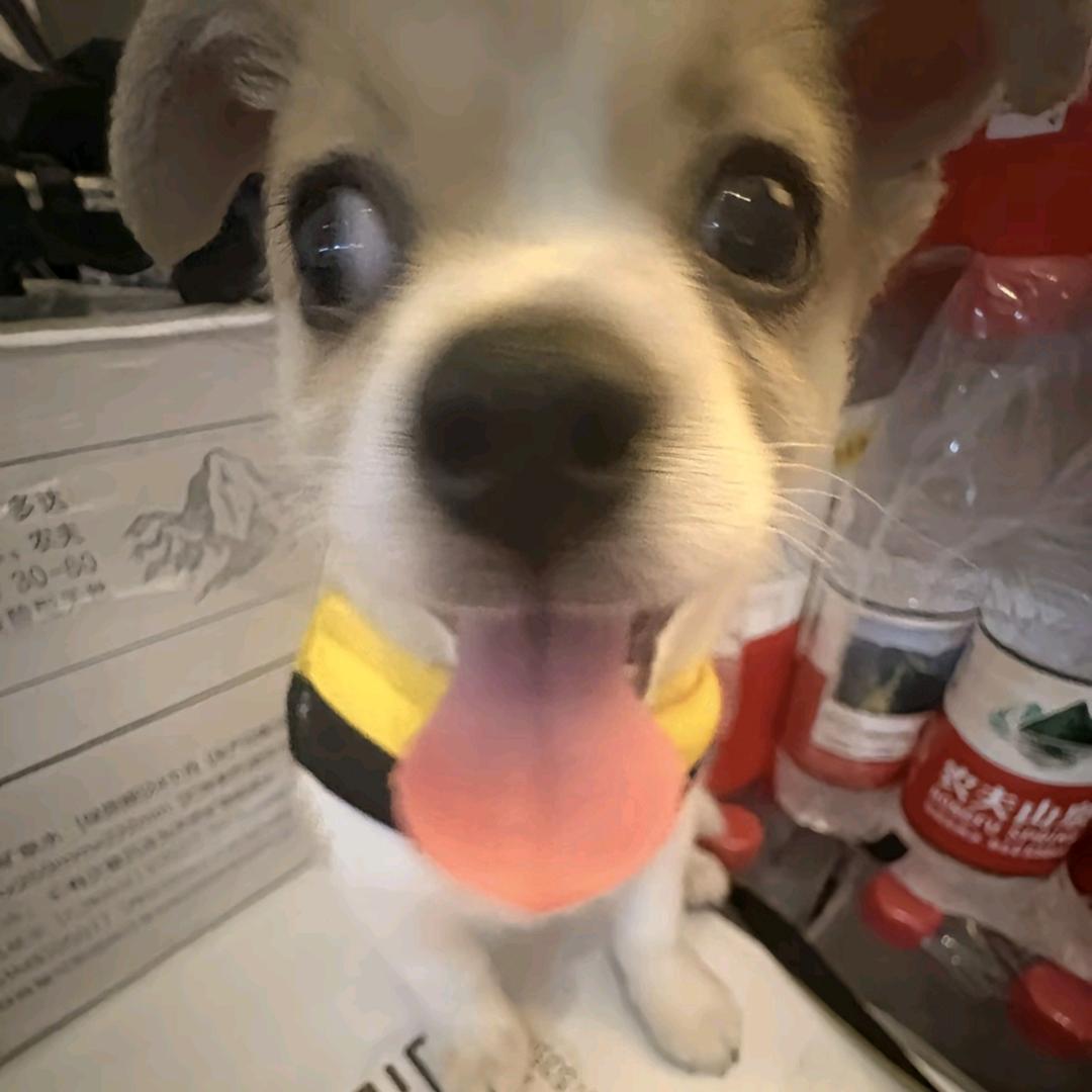 远.