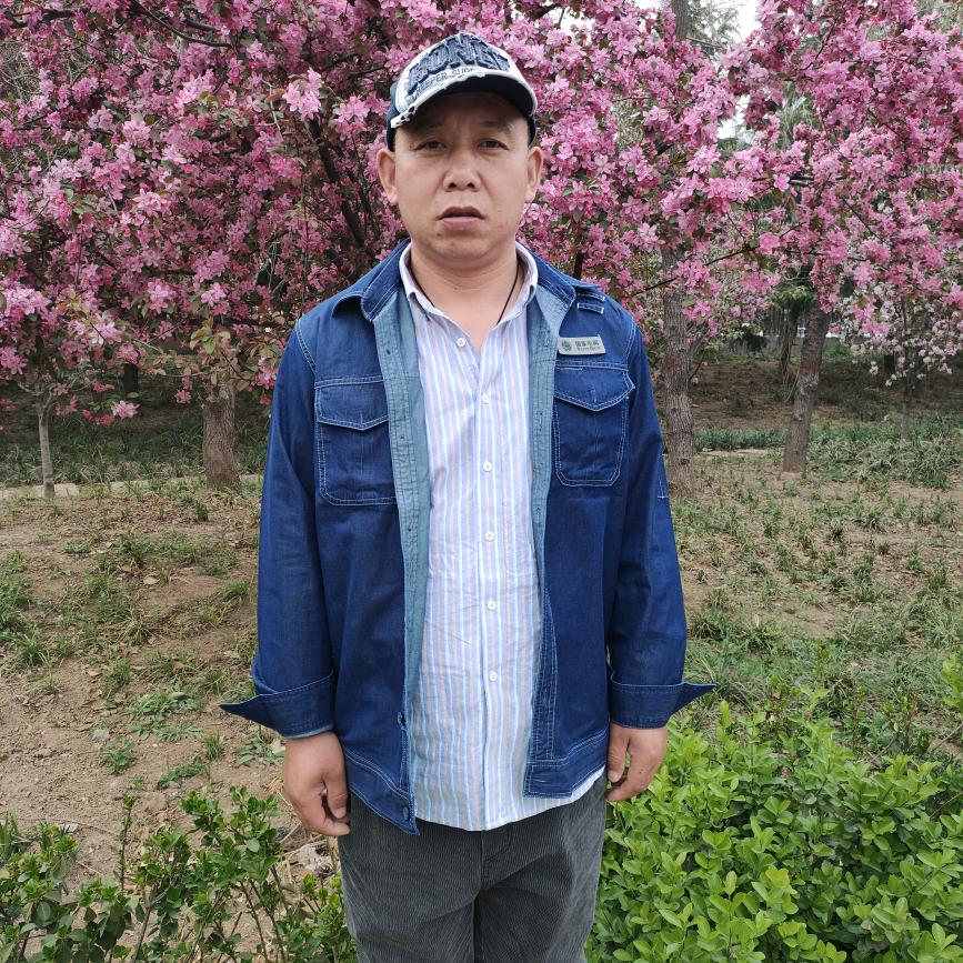 纵横四海(林北娱乐传媒)。