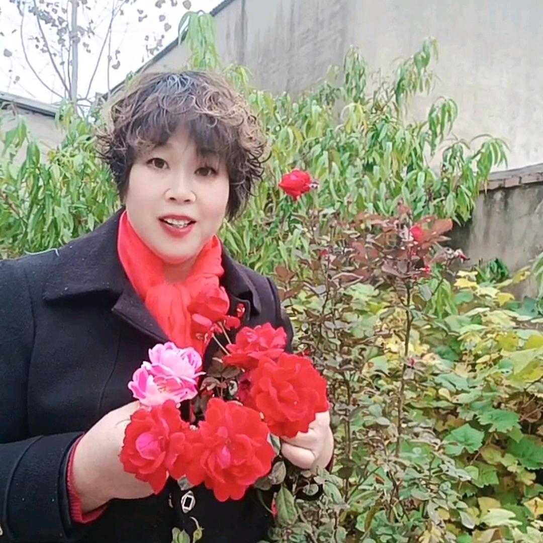 奋斗姐平安《晚上7点十分》开播