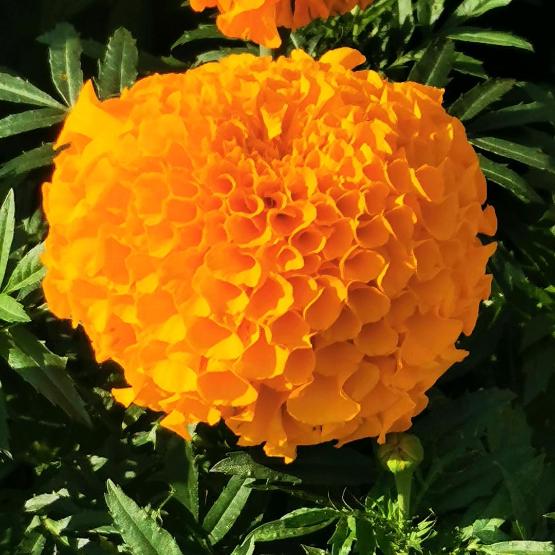 欲望无限，必定苦海无边