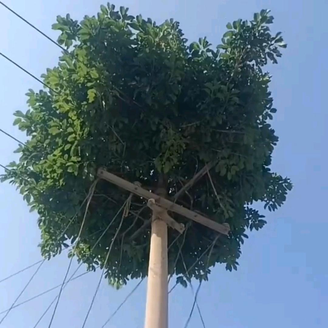 *往事随风