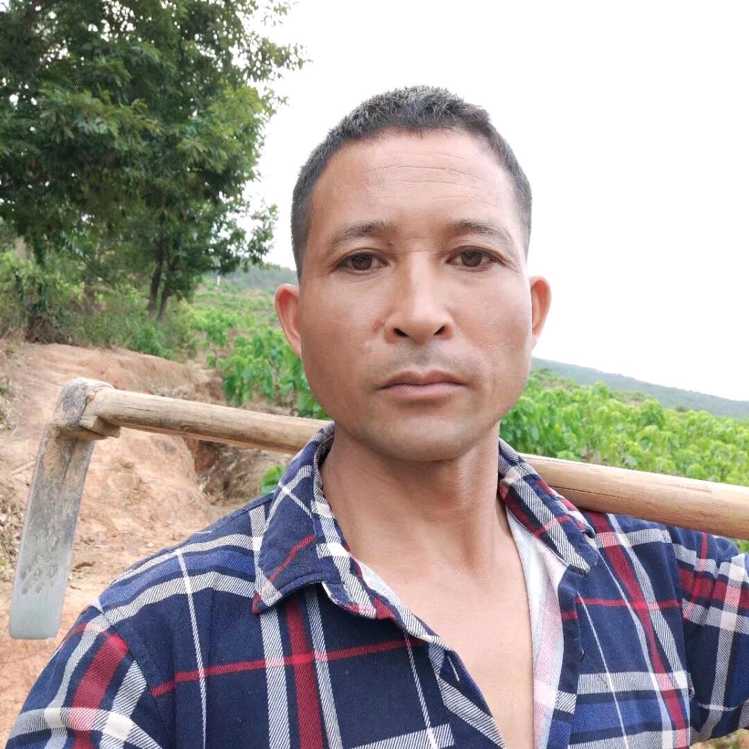 缘来是你