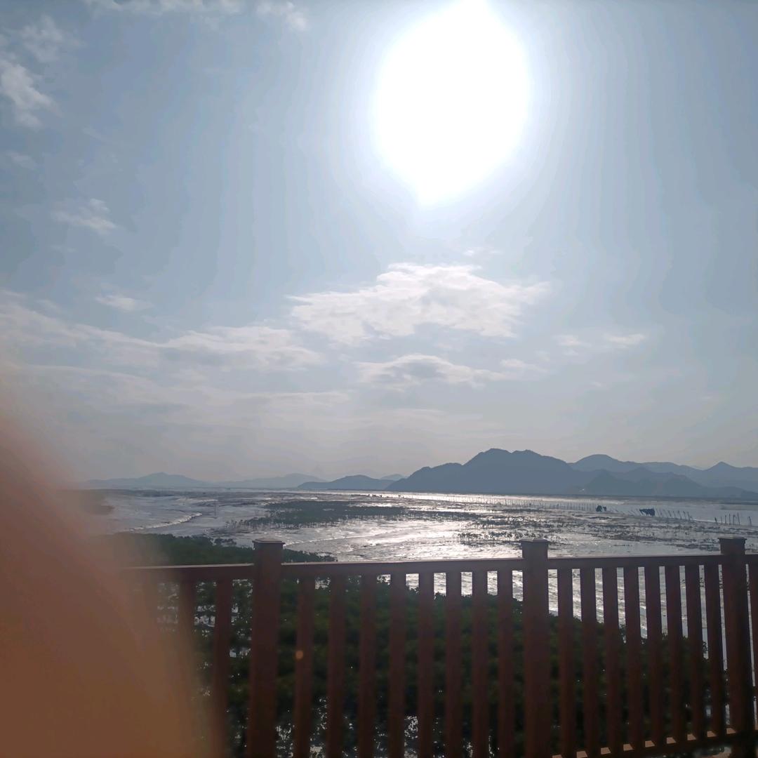 阿宝菜业