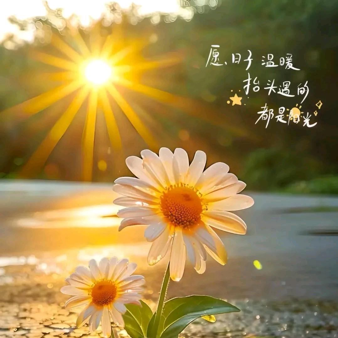 英子