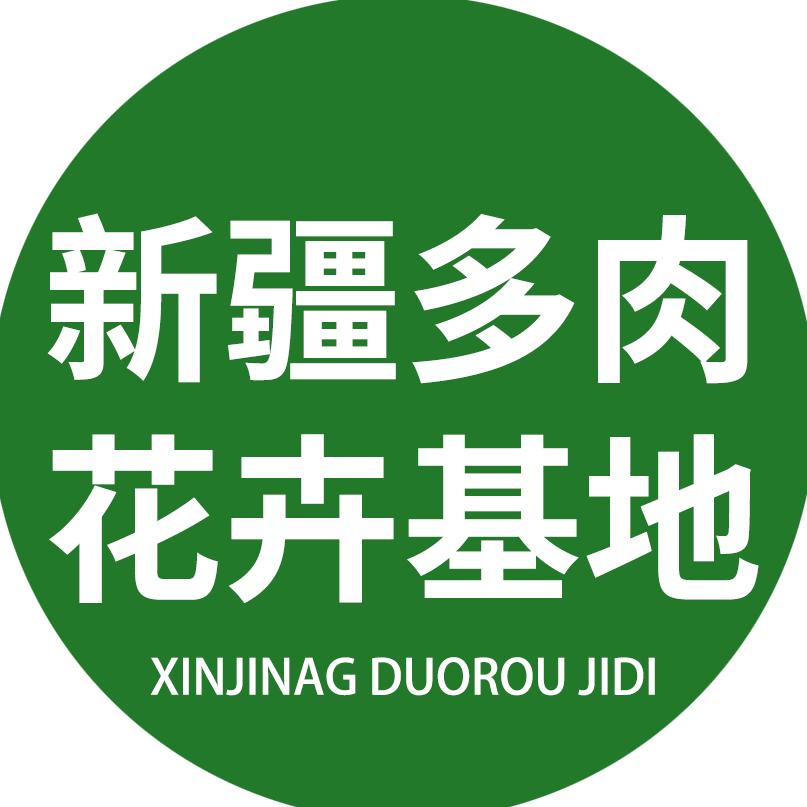 新疆多肉花卉(农大花花)