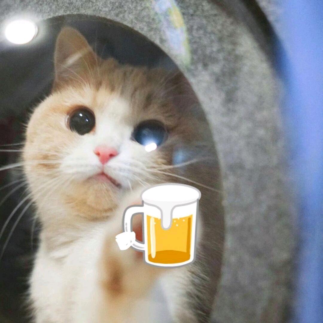 菜菜的三脚(三角洲行动)