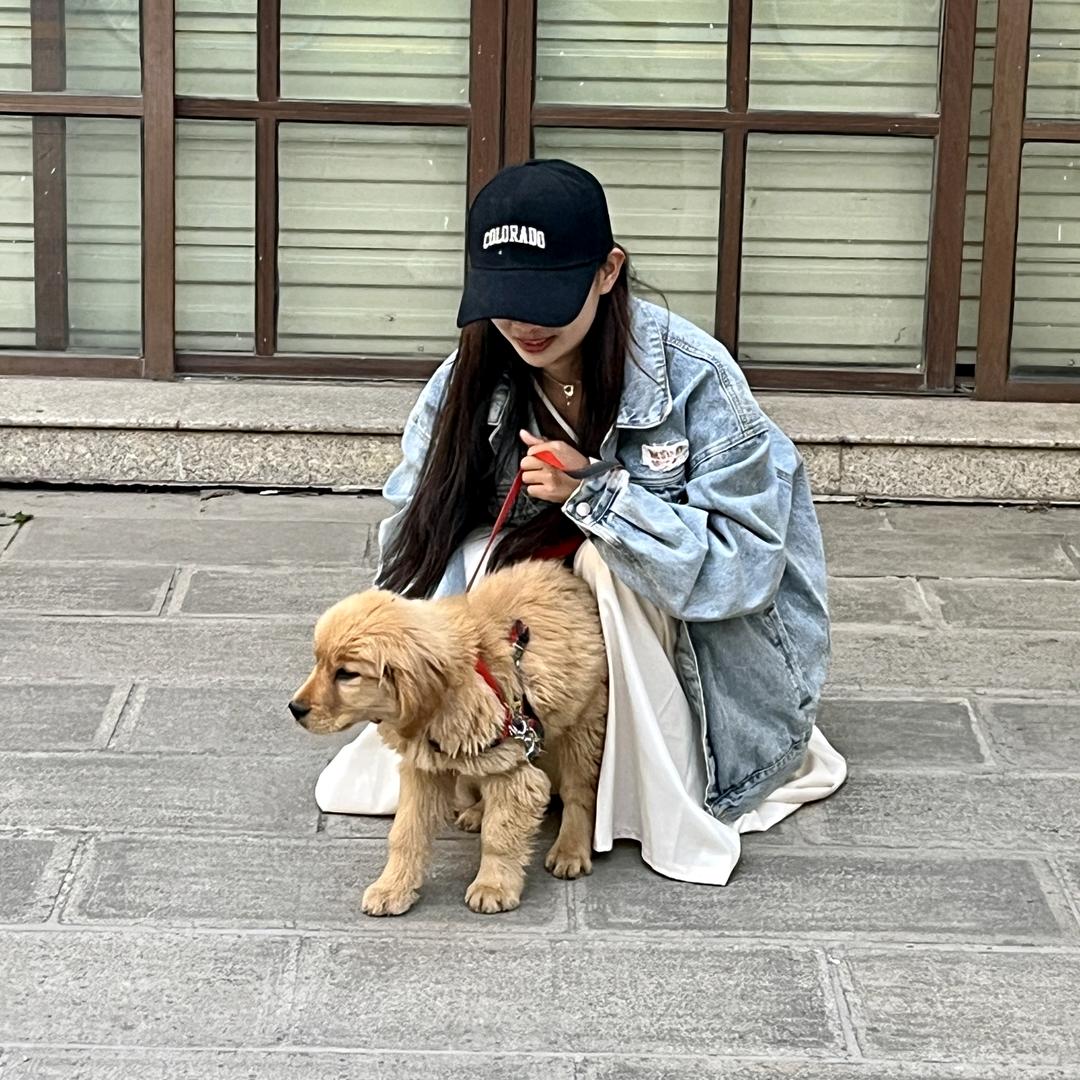 小zhen又困ᴵᵃ💤