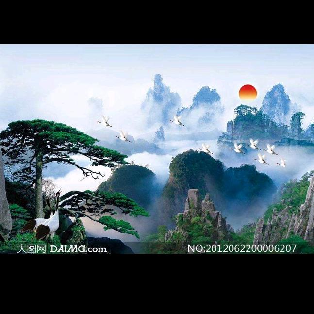 崔哥挖机租赁