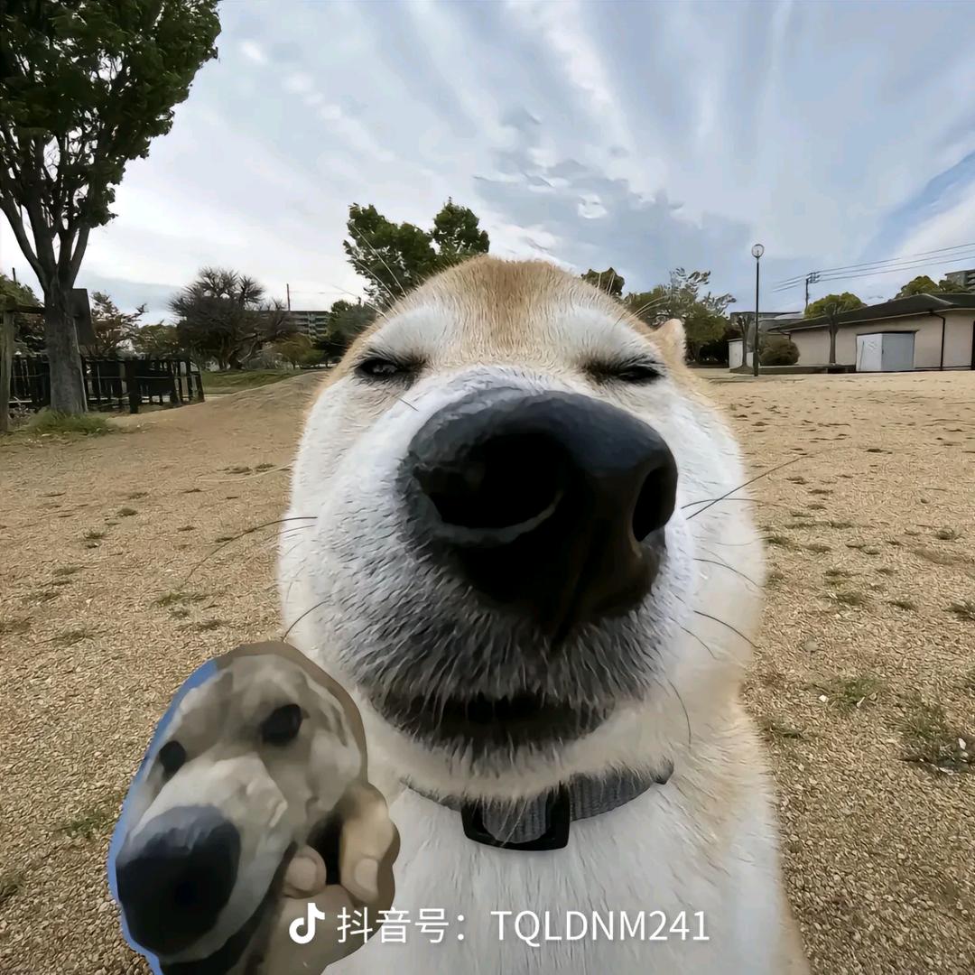 AAAAAA峰哥电梯防水